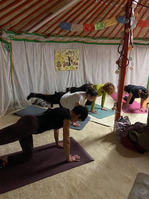 gym yourte gym yourte
