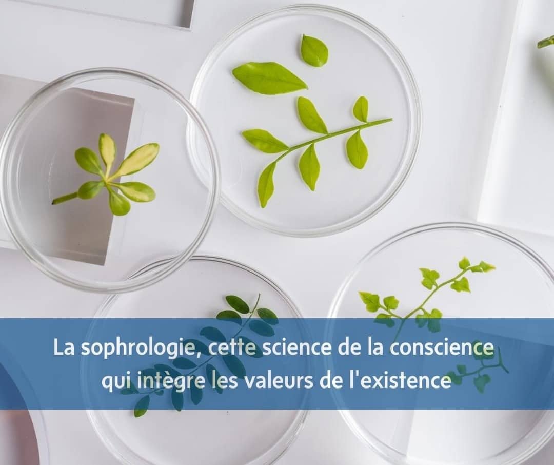 image sophrologie sophrologie
